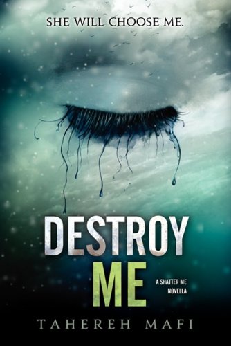 Destroy Me cover