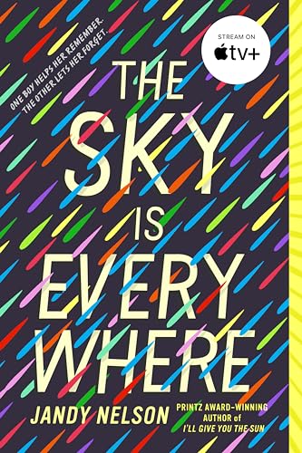 The Sky Is Everywhere cover