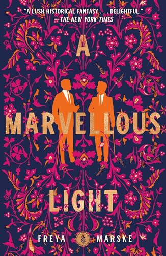 A Marvellous Light cover