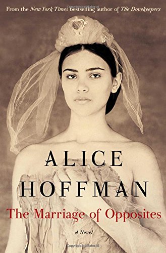 The Marriage of Opposites cover