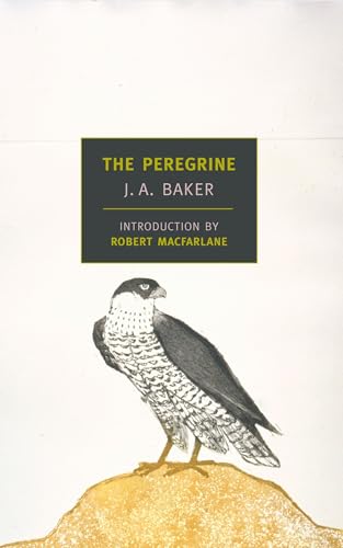 The Peregrine cover