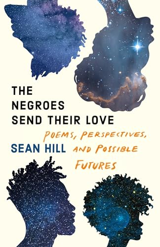 The Book of Negroes cover